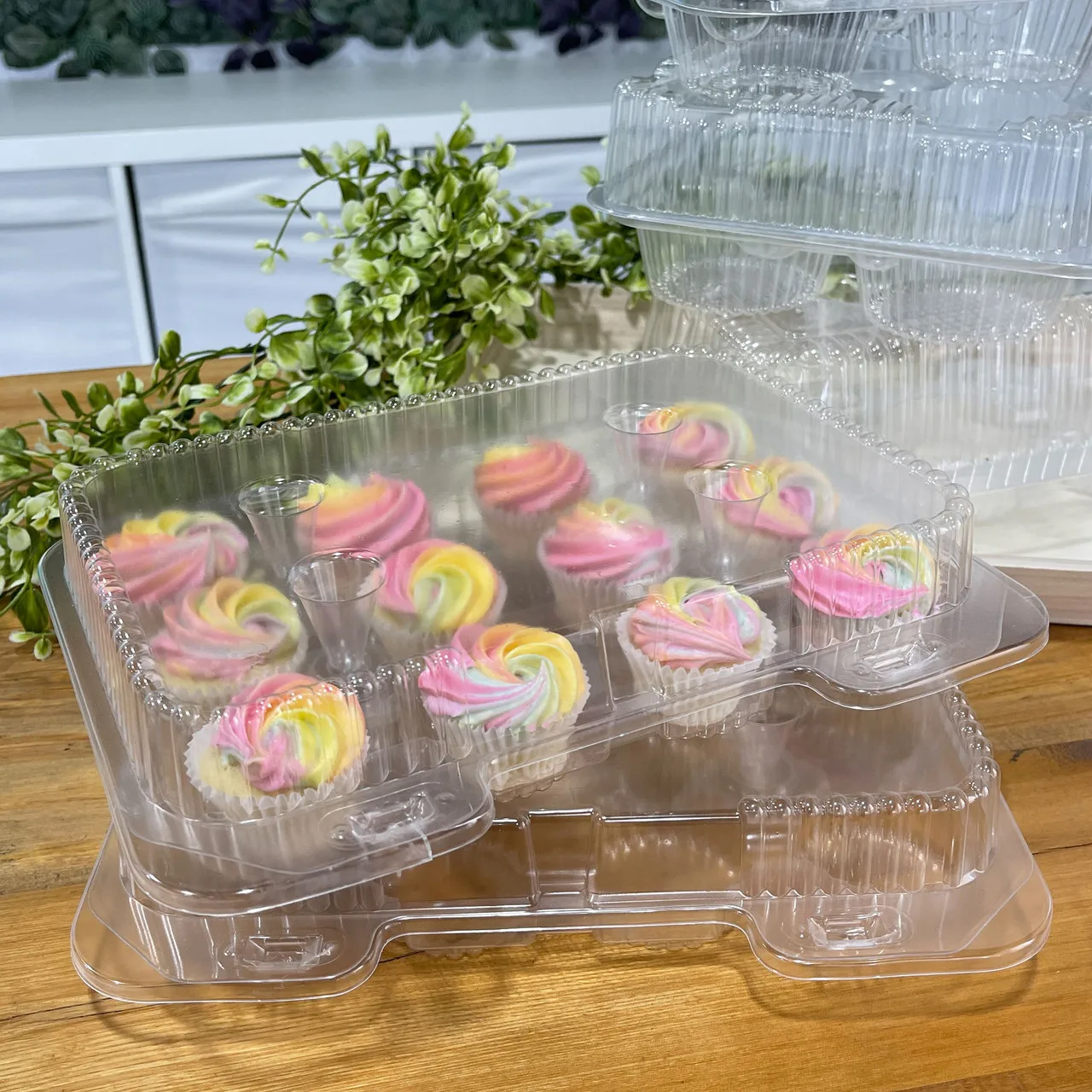 Cupcake Containers Plastic Disposable Single 2 4 6 12 Cup Transparent Individual Cupcake Box With Clear Lid And Packaging