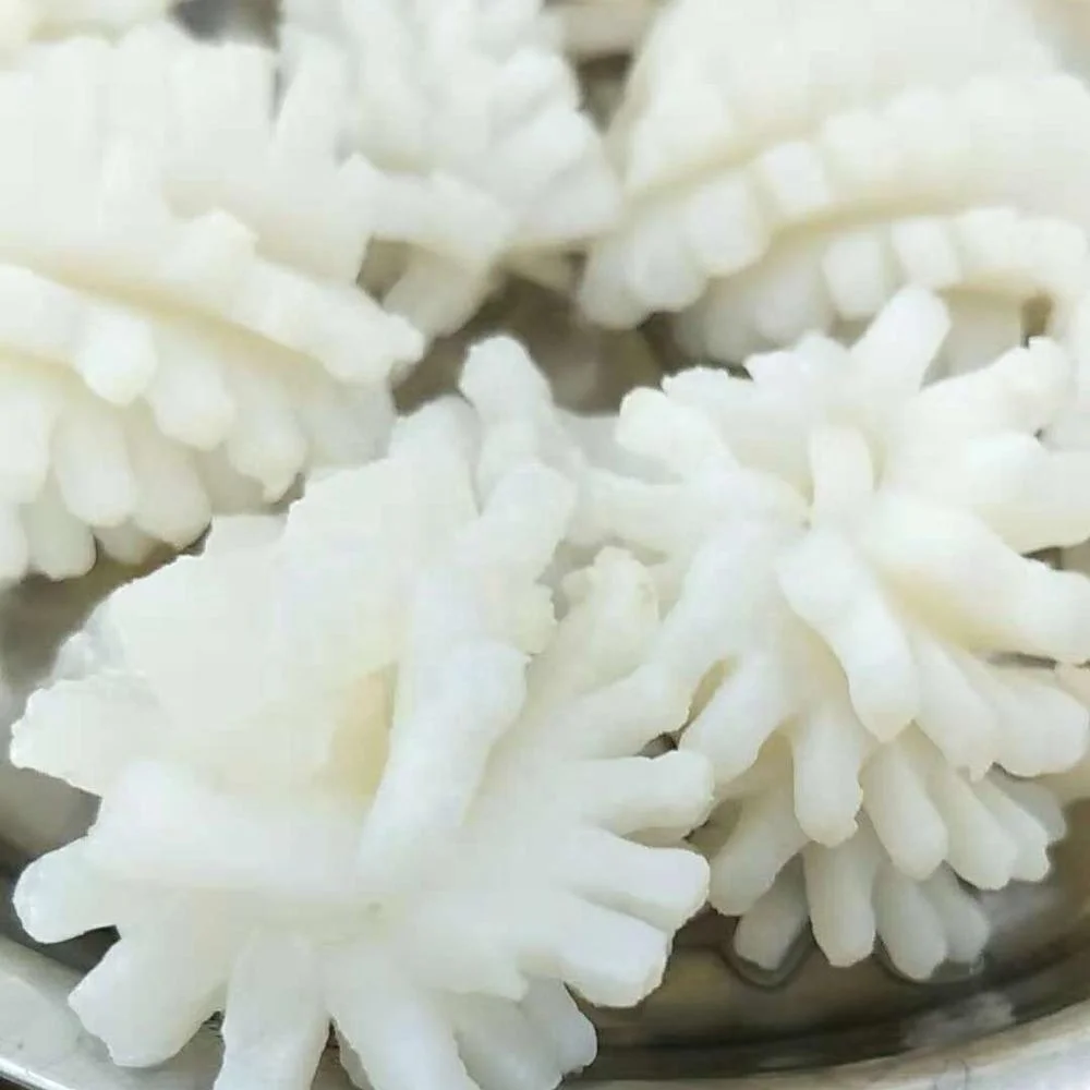 
Good Sale Seafood Fish Frozen Squid 