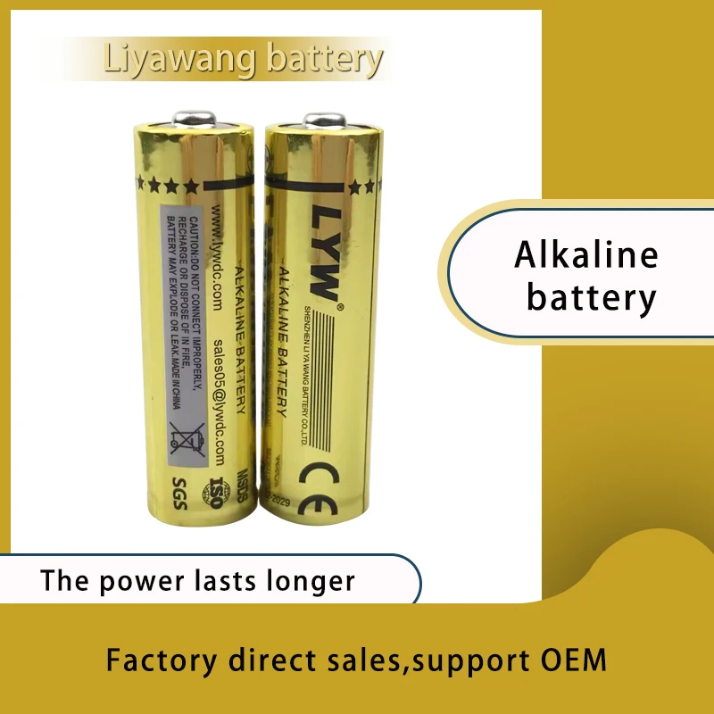 LYW Factory Wholesale OEM/ODM Factory Supplier Performance 1.5V LR6 Blister card primary alkaline AA Battery Pack For Toy Cars