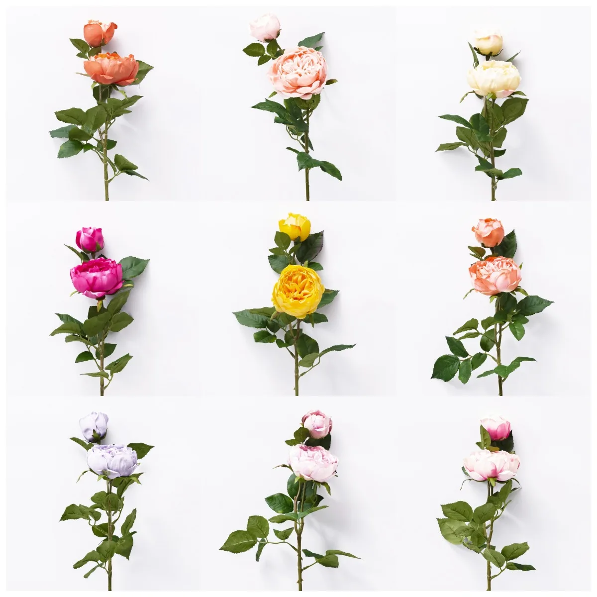 2022 Hight quality artificial champagne rose for wedding decor or  wall decor