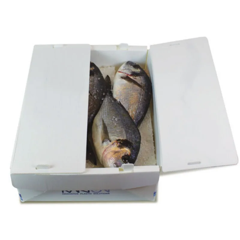 Salmon Fish Box Seafood Market PP Corrugated Sheet Box Custom Plastic Frozen Food Transport