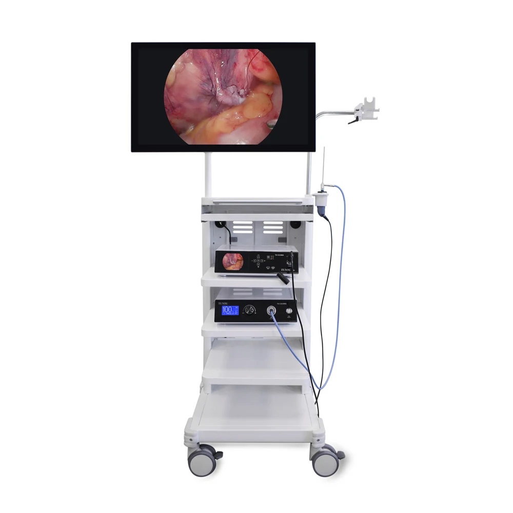 4K professional manufacturer medical Endoscopy Camera with USB Video Record Light Source for Surgery Laparoscopy