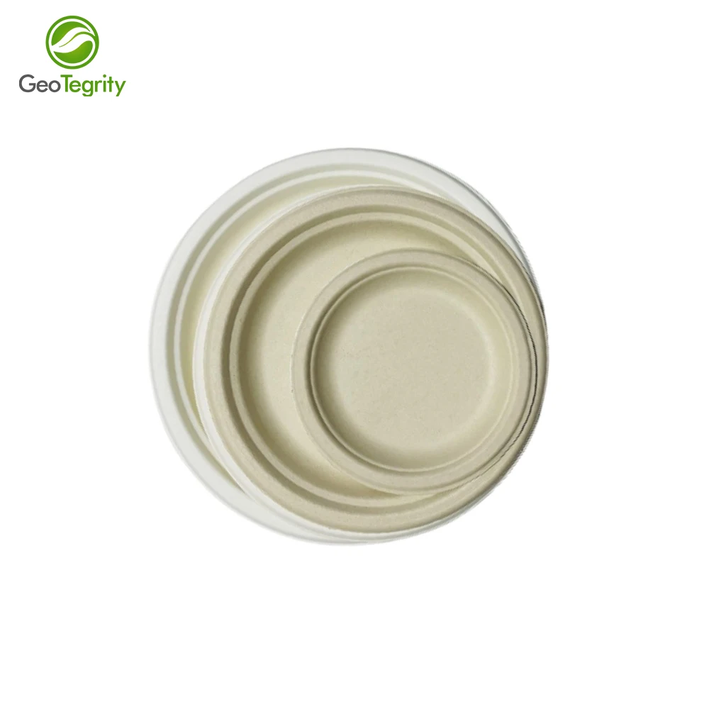 Customized Bio Degradable Disposable Sugarcane Bagasse Paper Pulp 10 inch Round Plates For Party