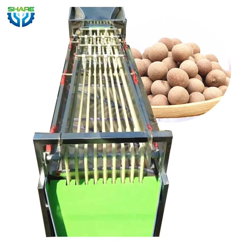 Small tomato fruit size sorting grading machine lemon blueberry sorter