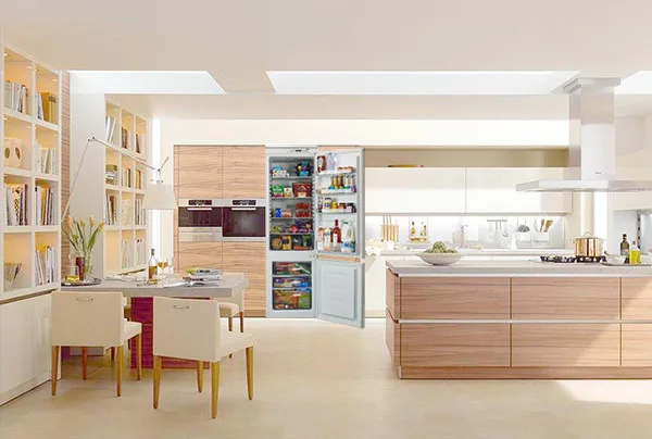 Hot-sale Home Appliance Fridge Freezer For Home Use Refrigerators Built In Fridge