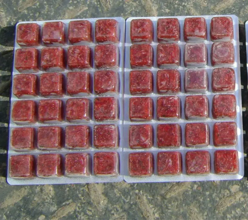 high quality frozen bloodworm Frozen red worm red nematode worm for sale frozen fish food