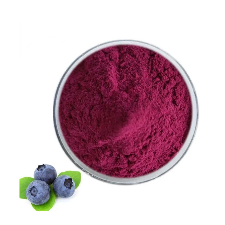 Factory Supply  Natural Extract Certified Fine  Bilberry Pure 100% Bilberry Extract Powder