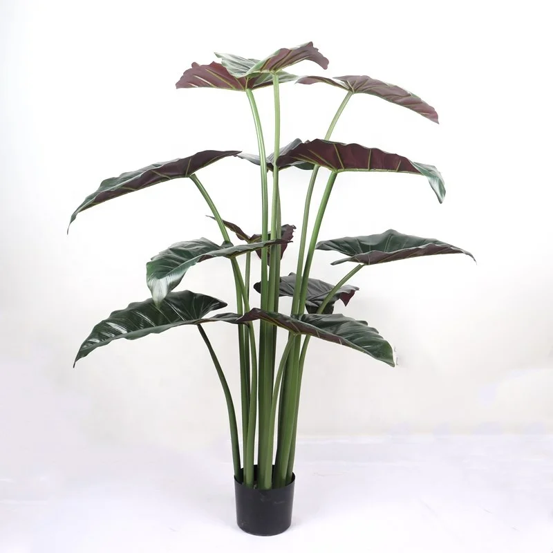 Wholesale For Interior Decoration Large Evergreen Plant Plastic Calla Bonsai Tree