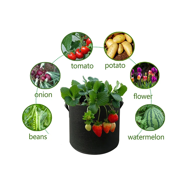 Fruit Vegetable Potato Strawberry Planting Garden Round Fabric Felt Pot Non-woven Smart Grow Bags