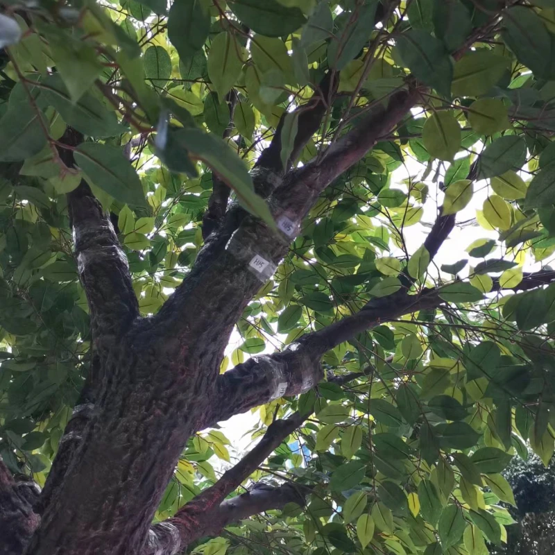 Fake Plastic Plants Decorative Ficus Trees Large Artificial Banyan Tree