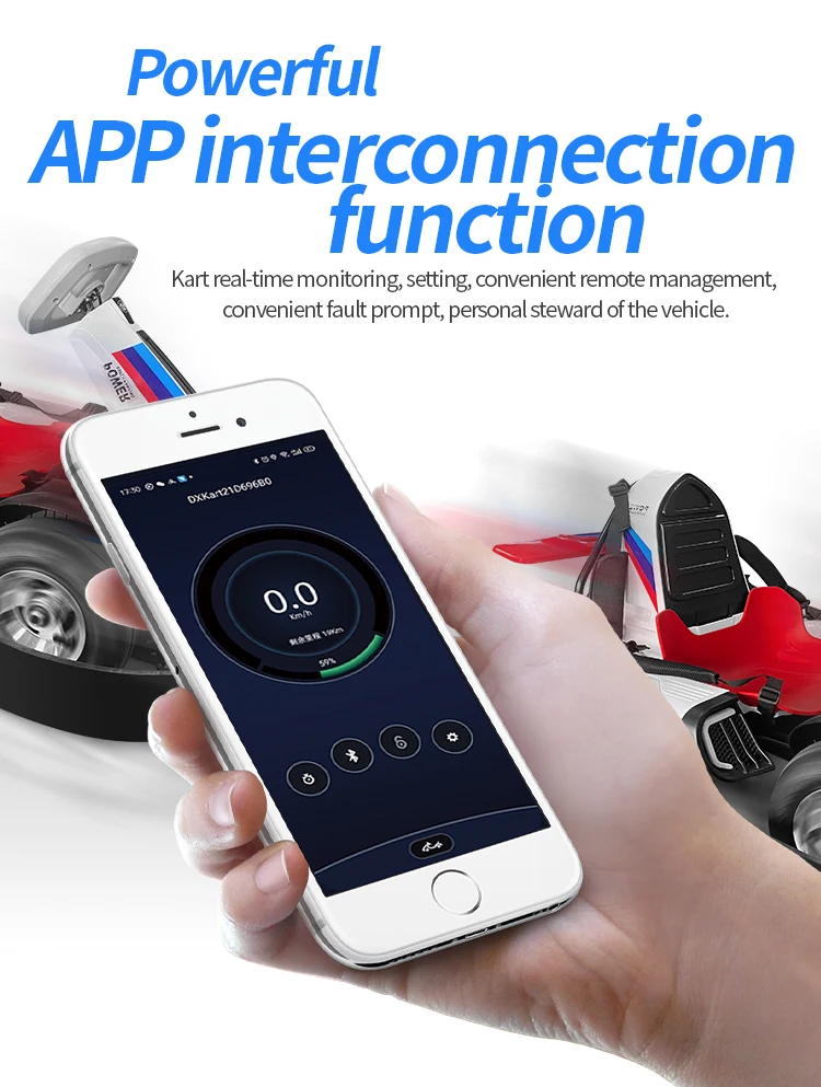 Original Bulk Sales Go Kart Seg Way Gocart Go Cart Electric Karting Cars For Adult