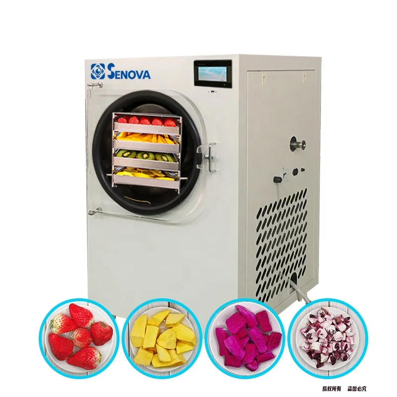 6Kg DIY Cheap Commercial Instant Coffee Dates Food Flower Lyophilizer Freeze Drier