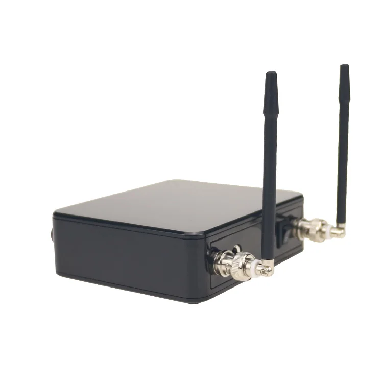 Portable 2 Channel Wireless Microphone For Singing