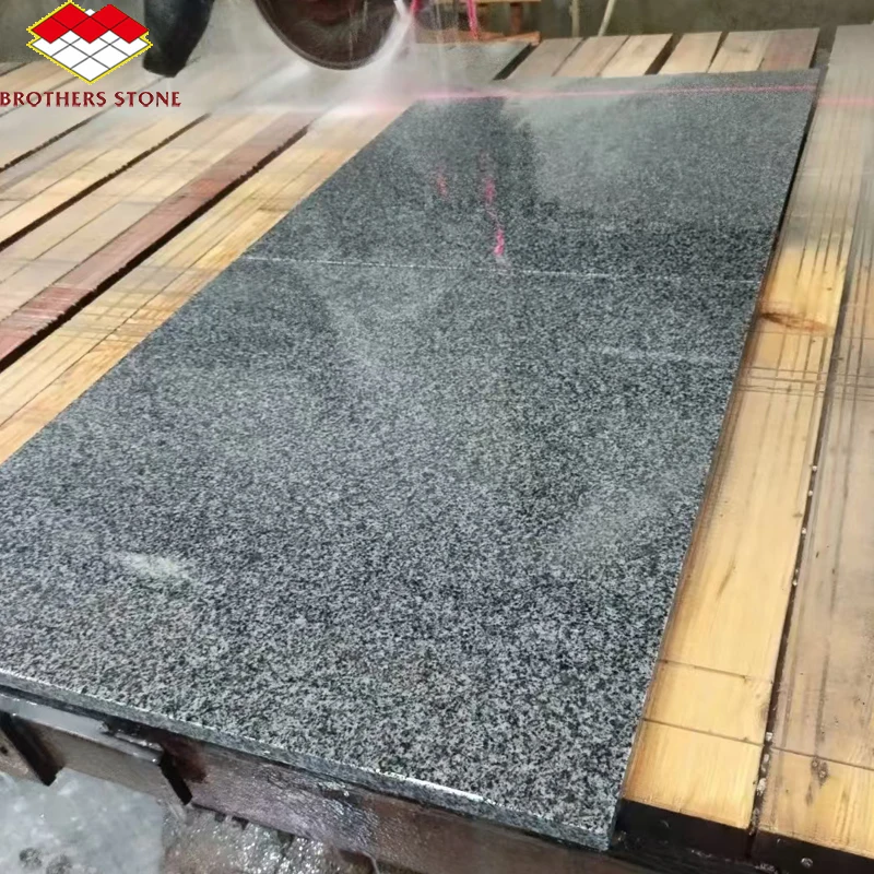 Wholesale Prices China G654 Polished Granite Black Granite for Walking Stairs Outdoor Roadside Stone Flooring 60*60*1.8cm