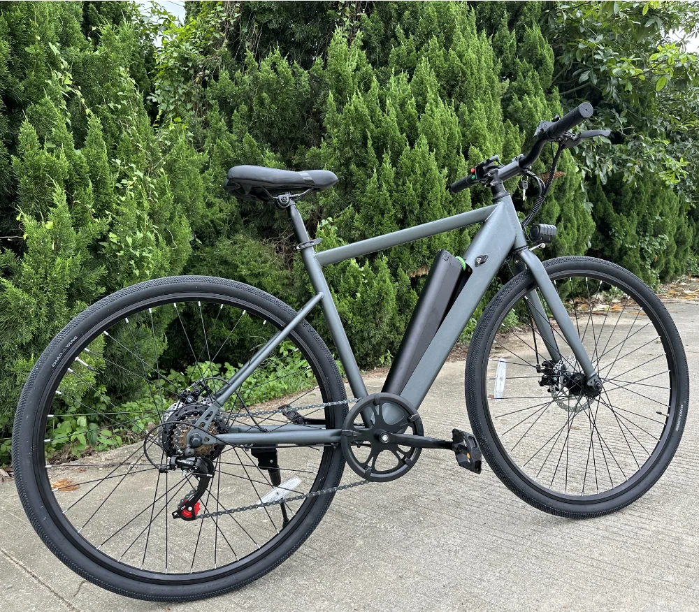 City Road Riding 40km/h Strong Frame Green Power 22KG Lithium Battery Electric Bike City Bicycle Ebike