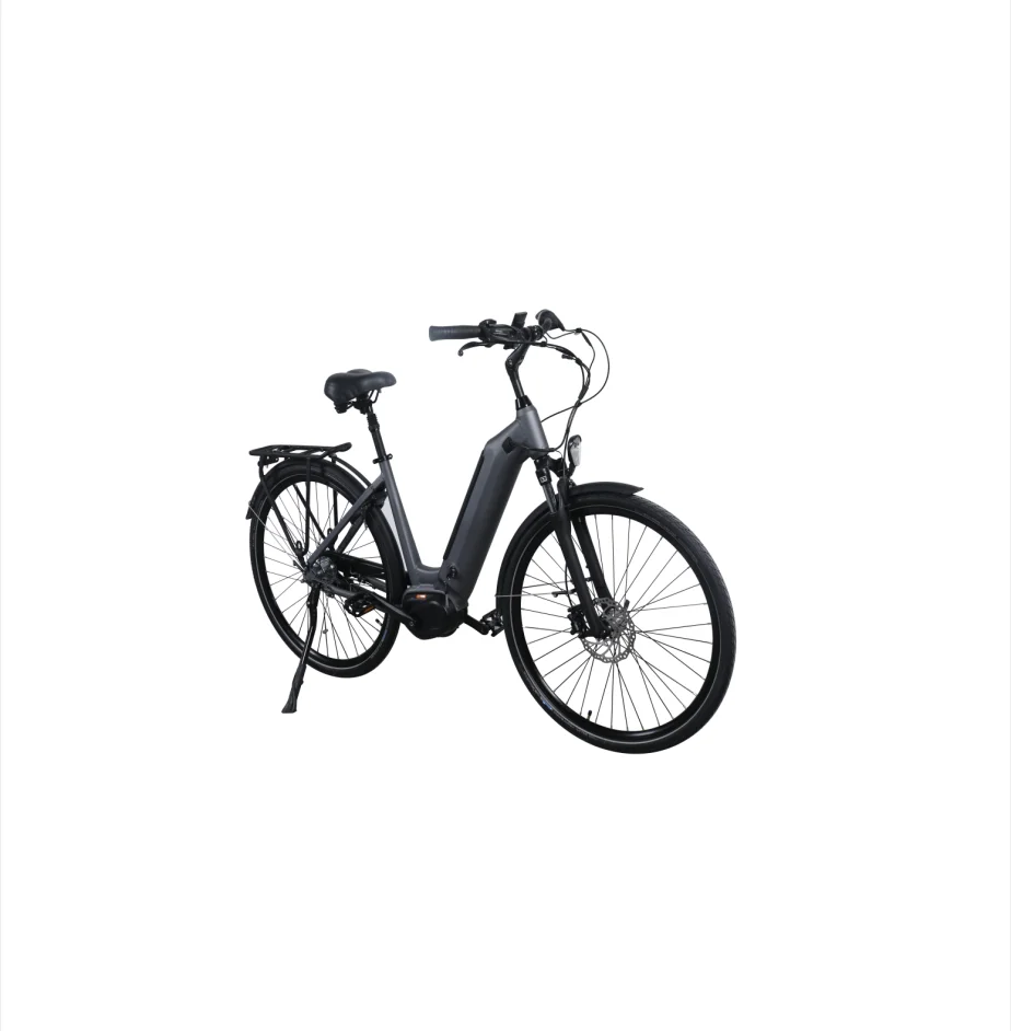 Central Motor Battery Position Integrated Battery Motor Type Bafang Mid 36V 250W  electric bike