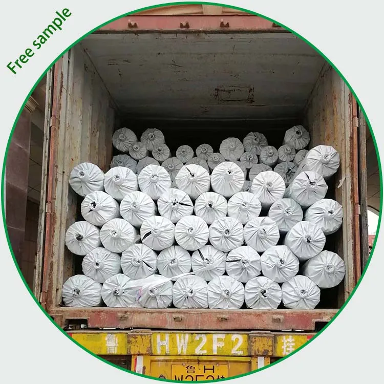 20m Agricultural Greenhouse film rolls Suppliers 200 Micron UV Resistant Plastic Film for Greenhouse