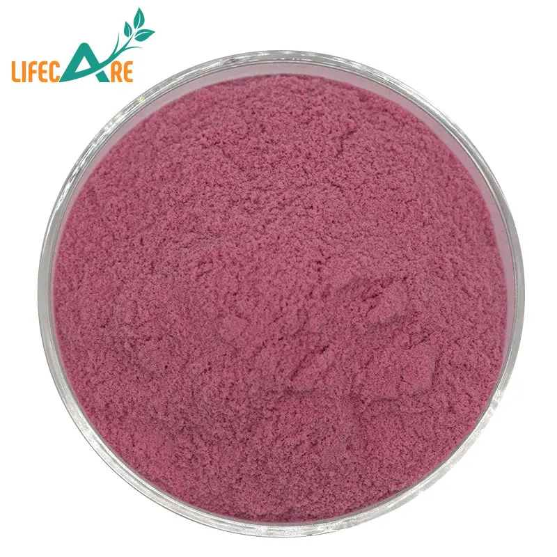 High Quality Acai Powder Water Soluble Acai Berry Fruit Powder