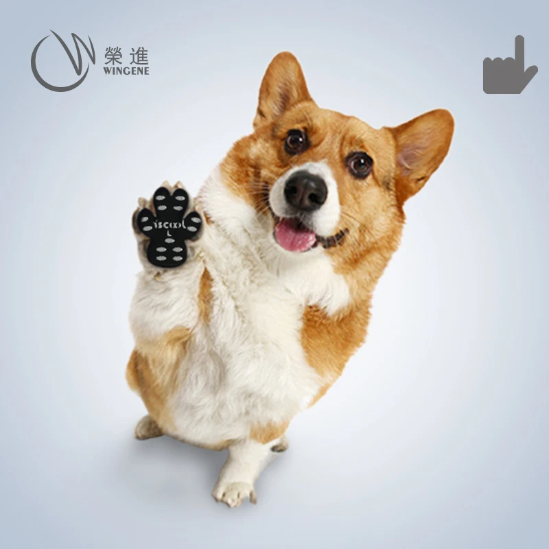 2022 Design New Dog Paw Protector Adhesive Pet Glue Creative Pet Foot Pad