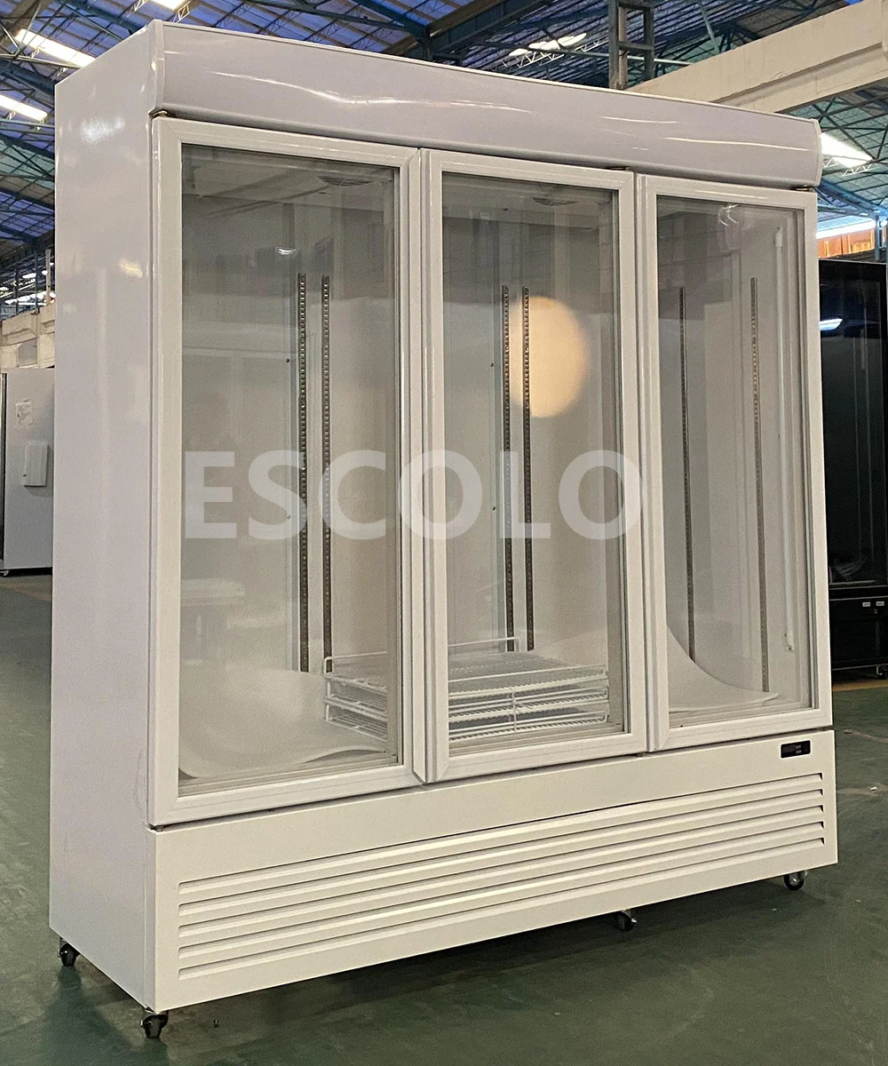 Ice And Seafood Display Freezer Refrigerator Deep Freezer