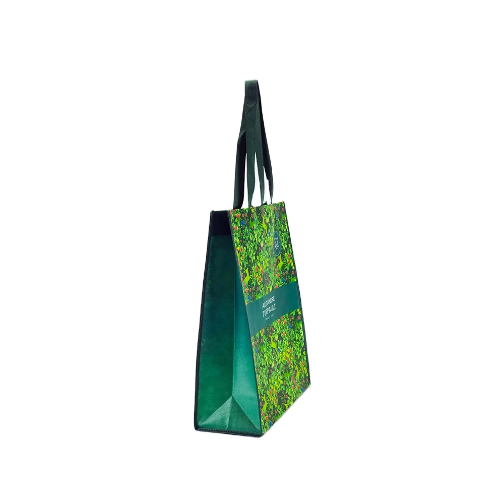 Customizing Top Rated Supplier Cheap Price Promotional Shopper Tote Non-woven Bag