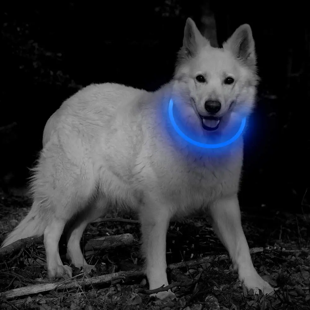 Manufacturers Silicone Large Big Light Up LED Dog Collar Usb Rechargeable Waterproof Night Dog Collar