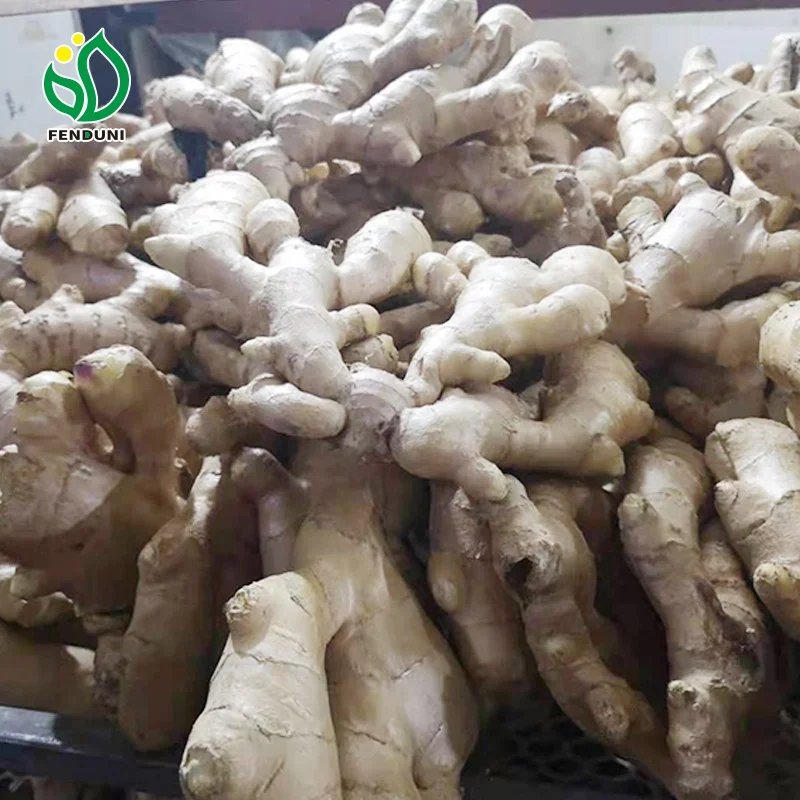 Shandong тщательно подобранная стирка и сухая имбирь свежий/Новый ПВХ картонная упаковка для экспорта