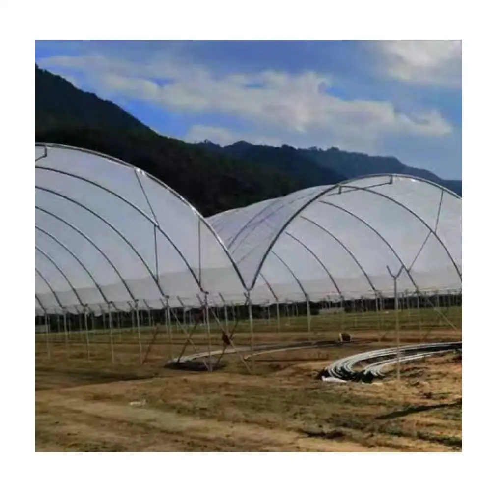 Wholesale Simple Installation Farm And Garden Greenhouses Rain Shelter Greenhouses