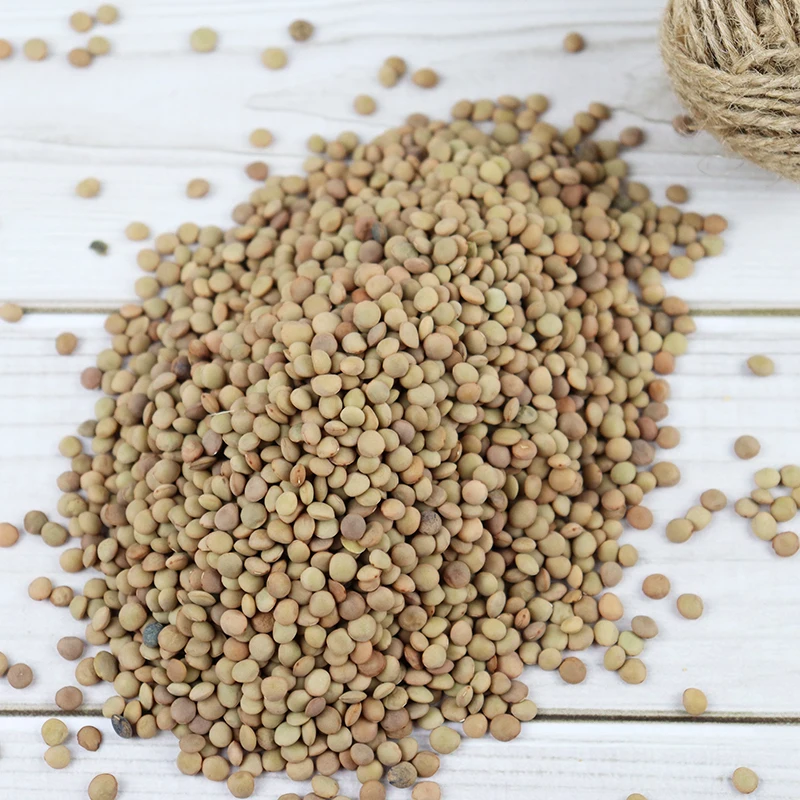 Лидер продаж mong chilka daal качественная Красная чечевица/зеленая чечевица/желтая чечевица поставщик из