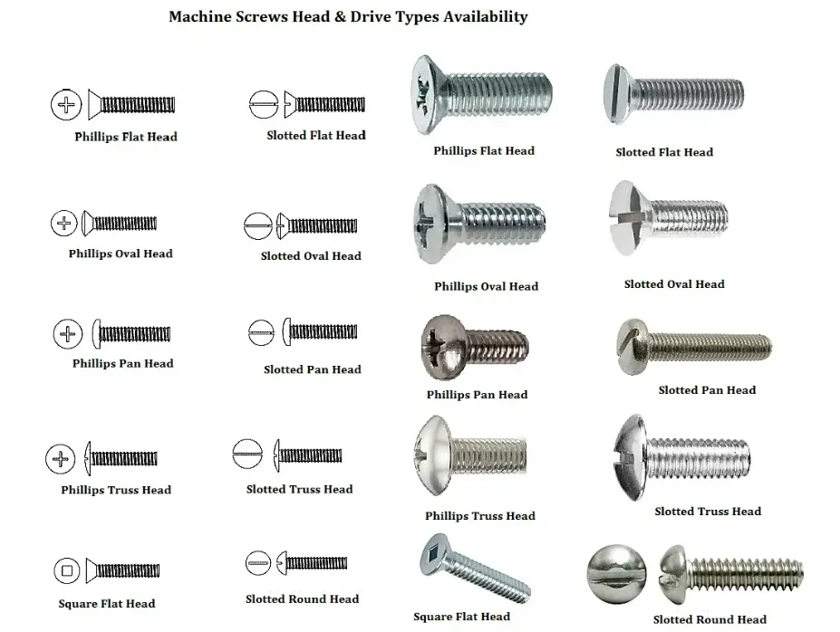 Dongji Hex Head Home Kitchen Wall Mounted Screws Different Shape Drilling Screws At Factory Direct Price self-tapping screw
