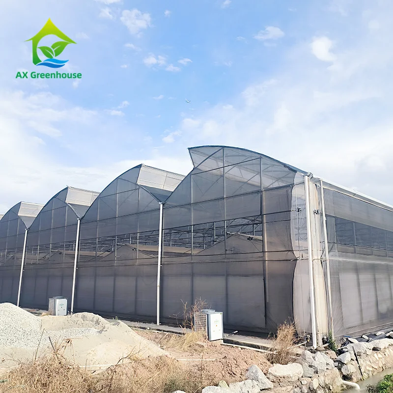 Commercial Industrial 30*100 Customized Blackout Light Deprivation Hemp Growing Poly Tunnel Greenhouse For Sale