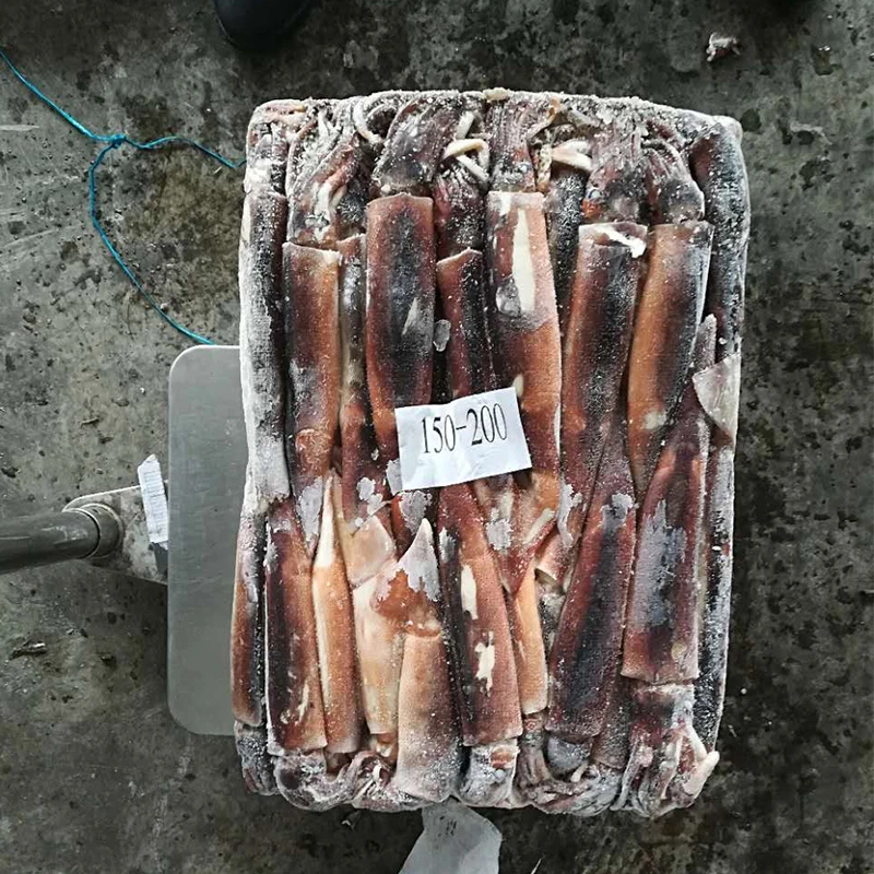 Высокое качество оптовая цена морепродукты большой размер кальмар Аргентина замороженные 800/900 Illex