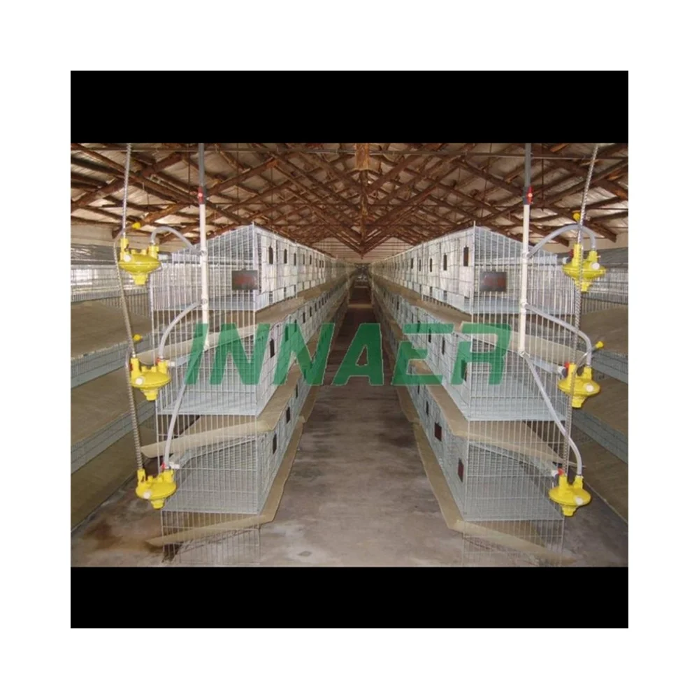 Оцинкованная железная проволока сварная клетка для кролика экологически безопасная (ISO9001)