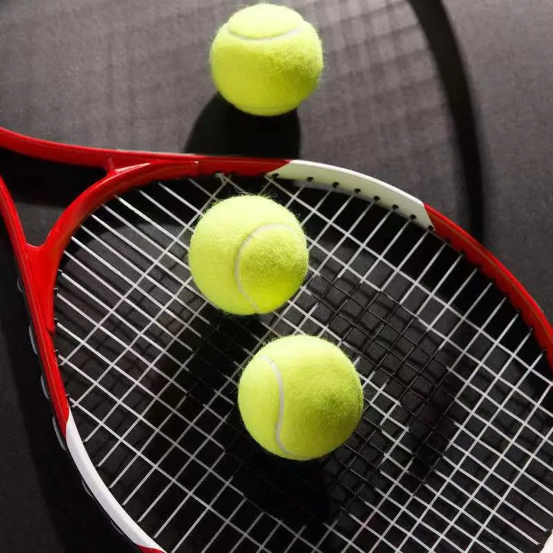 Factory custom signature big tennis ball large size gift tennis