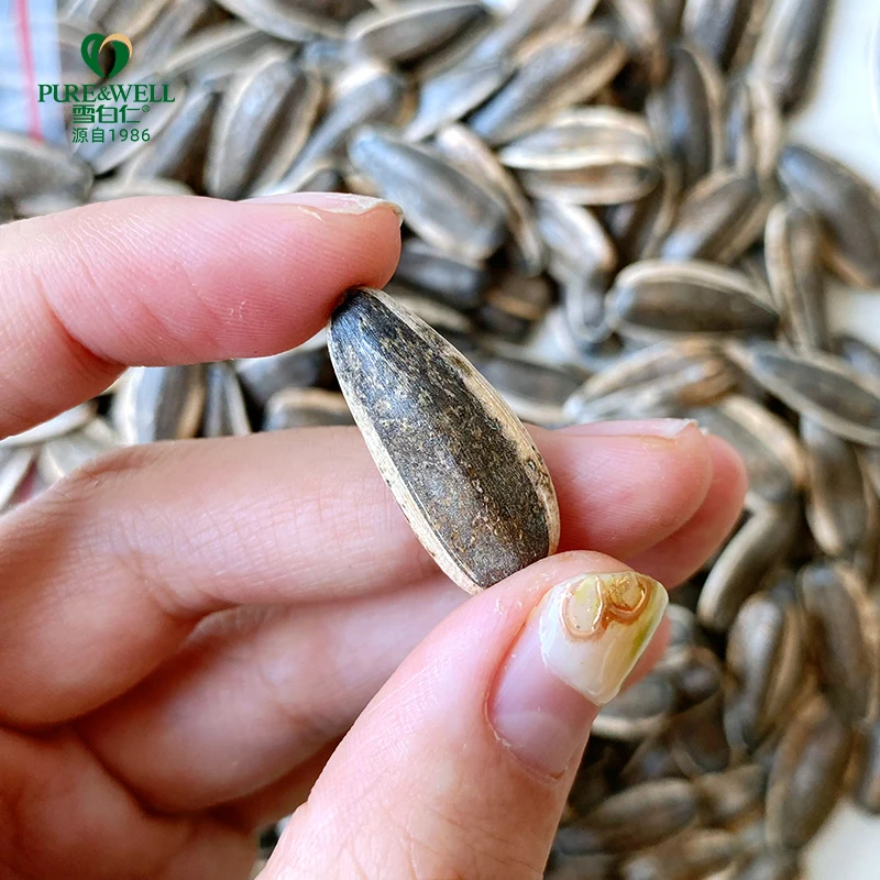 China factory supply  white dried sunflower seeds black