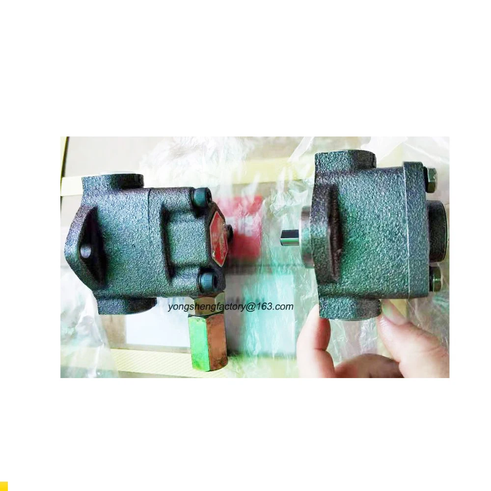 Electric Trochoid Lubrication Gerotor Oil pump Circulation Gear Lubricator Oiler TSWU KWAN AM5 AM6 For Circulating Lubricating