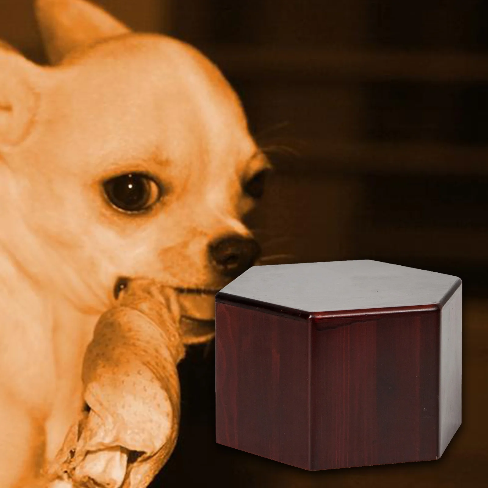 Pet Urn Box Top Sales Wood urns for pets Wooden Luxury Custom box for Dogs Pet Caskets and Urns Wooden Coffin box