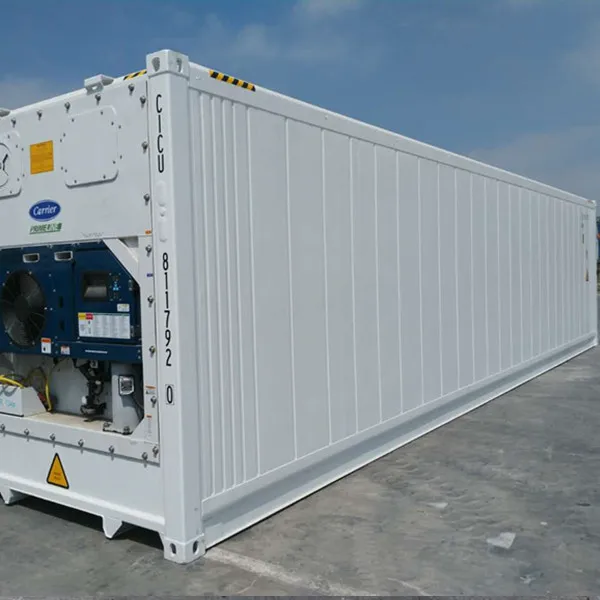 Refrigerated Freezer 20ft 40ft Reefer Container Price for Sale Container Cold Room