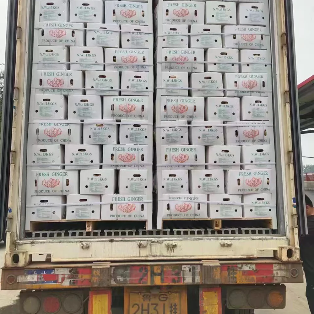 Good quality dried bulk fresh ginger market price per ton wholesale ginger buyers for buy export from China