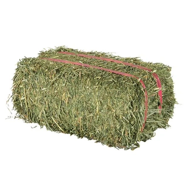 Wholesale Alfalfa Hay Feed at Unbeatable Prices Elevate Health with Premium Pakistani Alfalfa Hay Best Exporter