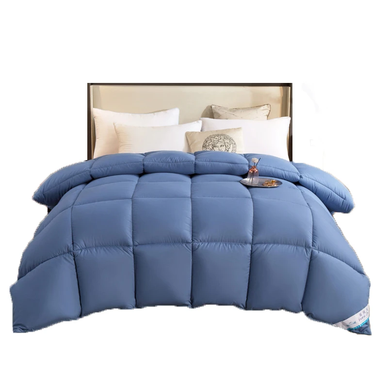 Winter down quilt warm thickening home hotel quilt bedding autumn and winter quilt core cotton
