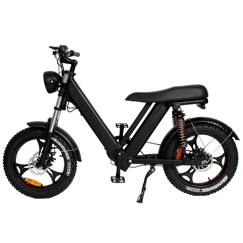 China 2 seat electric bike with paddle mountain sports electric wheel motorcycle 750w 1000w motorized fat tire electric bike