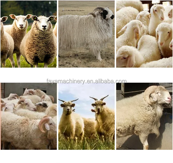 Animal Sheep Hair Cut Wool Shears Machine Sheep Shearing Clipper for farm
