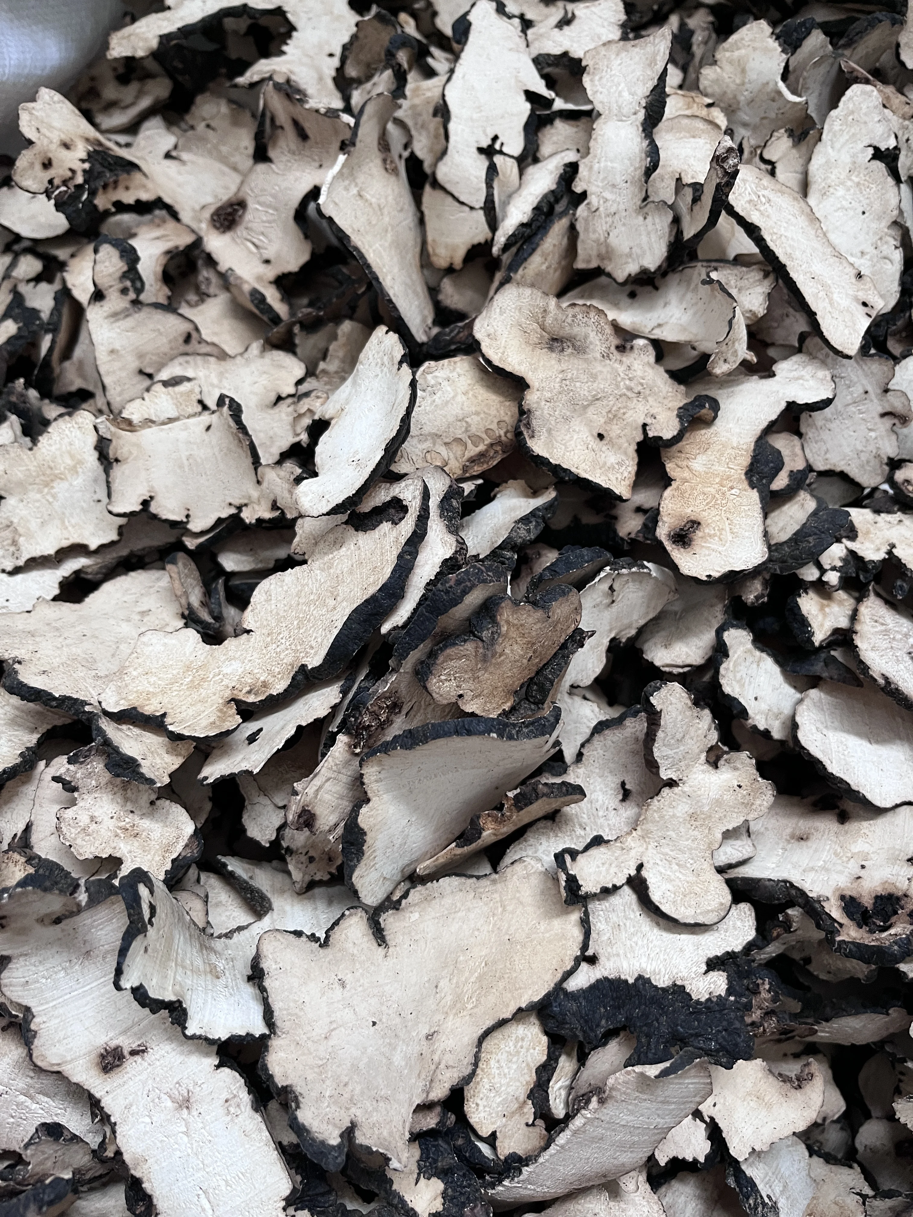 Zhuling Mushroom Powder; Polyporus umbellatus extract powder