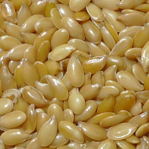 Top Selling Natural Golden Flaxseed Bulk Supplier