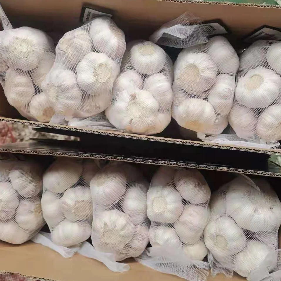 fresh garlic 3.5 3.8 4 kg pack  to Saudi Arabia UAE Kuwait 2021 JINXIANG garlic