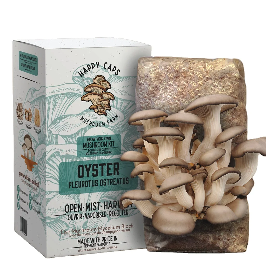 Grow At Home Mushroom Kit Psychedelic Mushroom Grow Box Kits