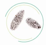 2020 new cat litter 7L dust free clumping cat litter super odor elimination tapioca cat litter