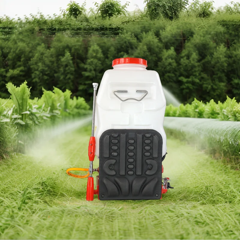 Qinli QL-806 Low Price Agricultural Power Sprayer Knapsack  4 stroke engine motorized sprayer gasoline power