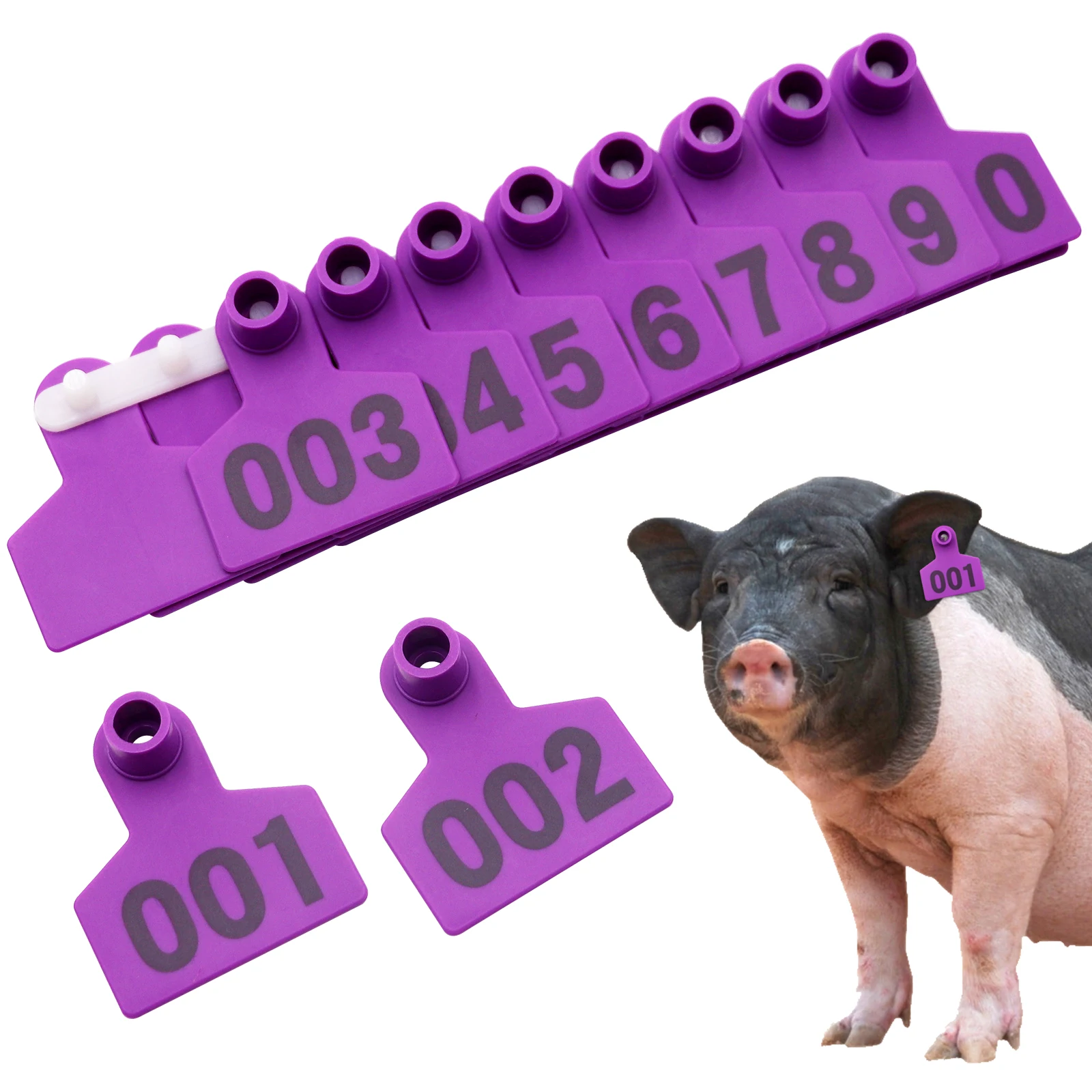 Animal Marker Custom Hog Ear Tag 4*5cm Pig Ear Tag With Logo Number Laser Printing for Animal Management Breeding